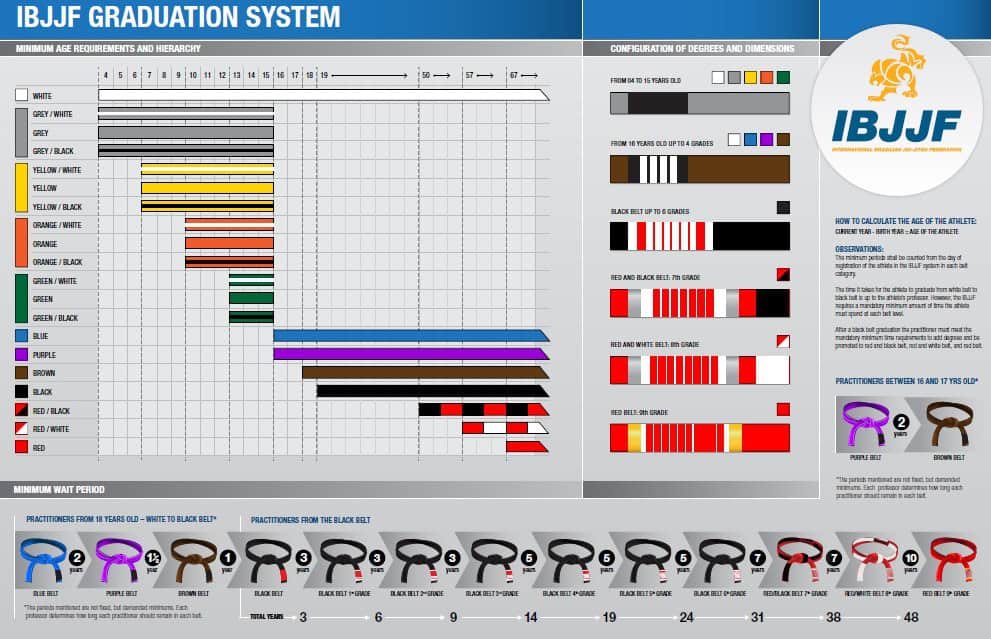 IBJJF BJJ Belt System